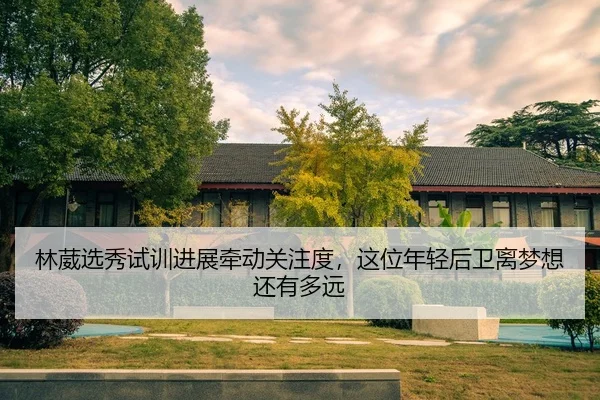 林葳选秀试训进展牵动关注度，这位年轻后卫离梦想还有多远